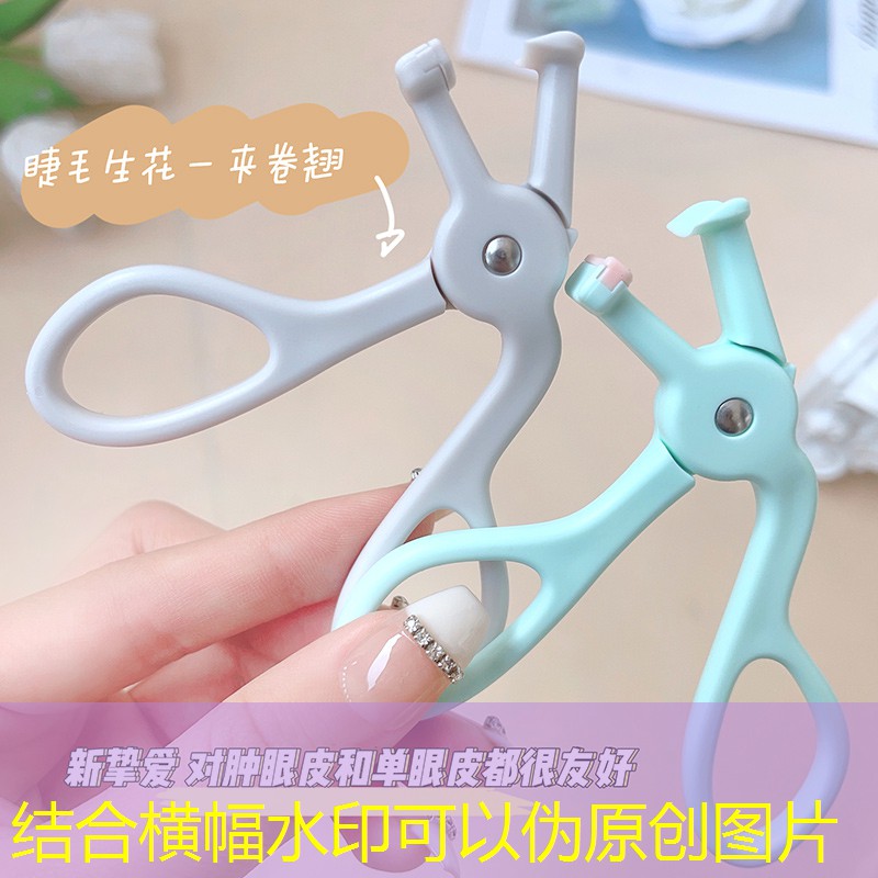 丹江口端州區園林綠化管理中心