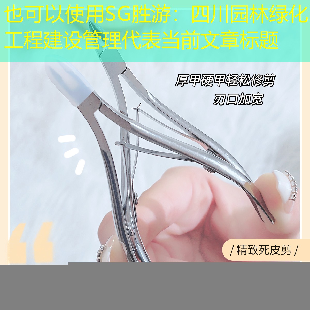 四川園林綠化工程建設管理