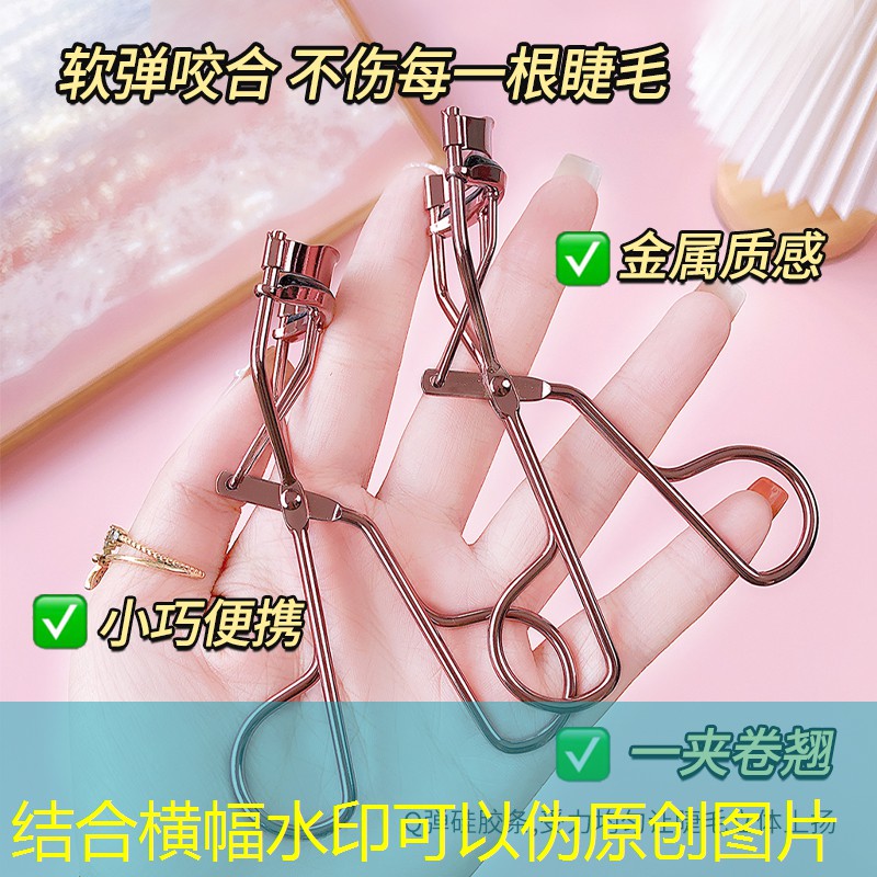 市政園林管理需深化改革，提升城市環境品質！